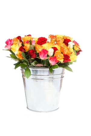 roses in a tinny bucket isolated on white backgroundの写真素材