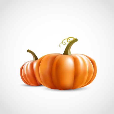 two big orange pumpkins on white backgroundのイラスト素材