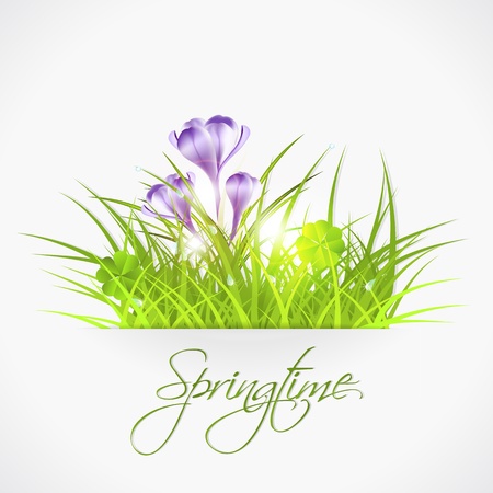 violet crocuses egg in fresh green grass, vector illustration, with transparency and gradient meshes, eps 10のイラスト素材