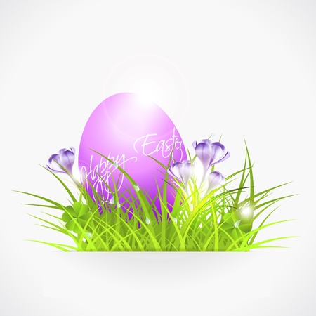 violet easter egg in grass, vith crocuses, vector illustration, with transparency and gradient meshes, eps 10のイラスト素材
