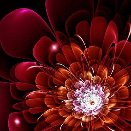 red fractal flower on black background, illustrationの写真素材