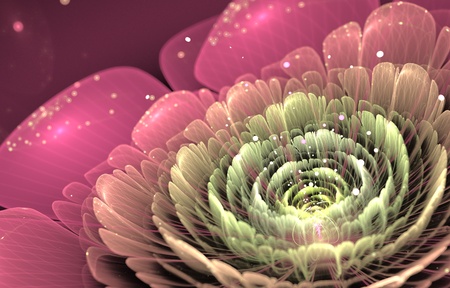 pink and green  fractal flower on black background, illustrationの写真素材