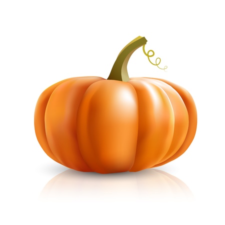 big orange pumpkins on white backgroundのイラスト素材