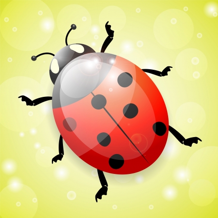 Ladybug on green backgroundのイラスト素材