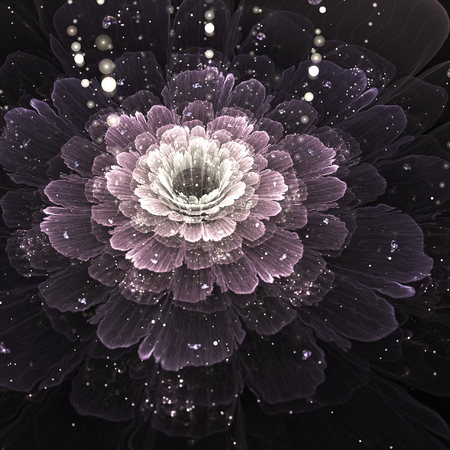 violet fractal flower with droplets of water on black background, illustrationの写真素材