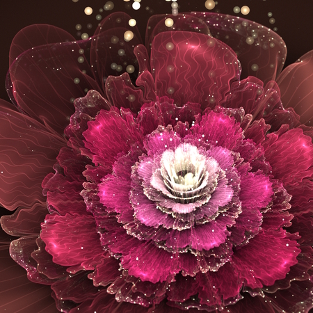 red fractal rose, digital illustrationの写真素材