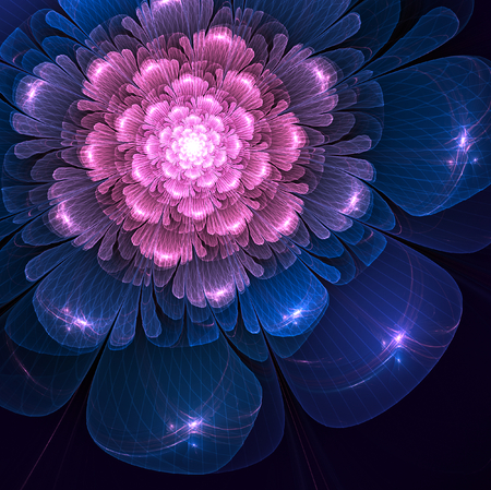 pink and blue  fractal flower fractal flower on black background, illustrationの写真素材