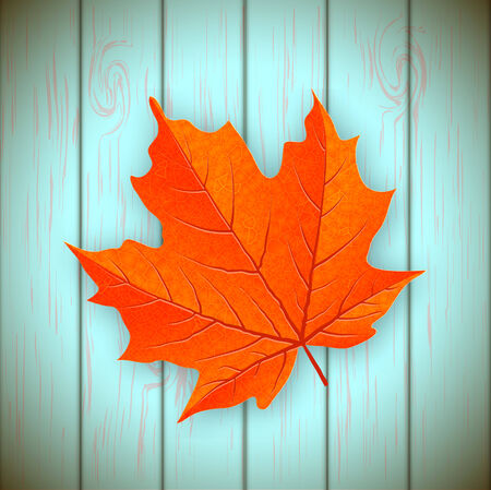 red maple leaf on wooden background, vector illustration  のイラスト素材