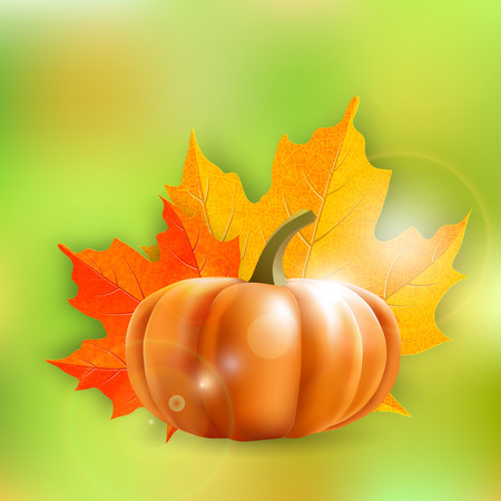 pumpkin and maple leaves, vector illustration のイラスト素材