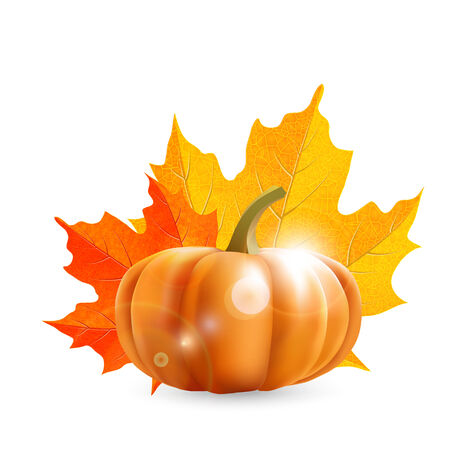 pumpkin and maple leaves, vector illustration  のイラスト素材