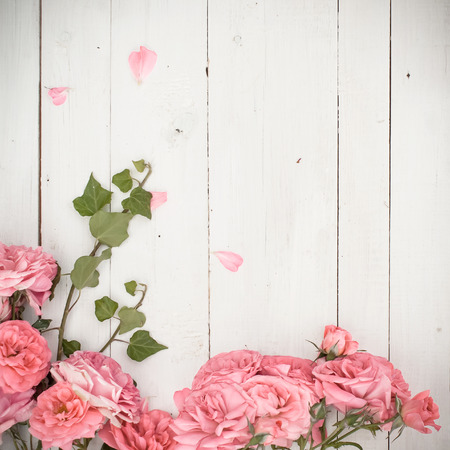 Romantic pink roses and branches of ivy on white wooden backgroundの写真素材