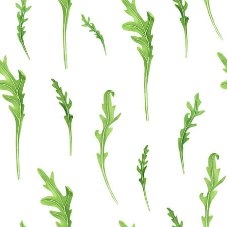 Fresh leaves arugula seamless pattern on white background. watercolor hand drawing illustration. Art for decoration and design of printing, textiles, fabrics, wallpapers, paper and scrapbookの写真素材