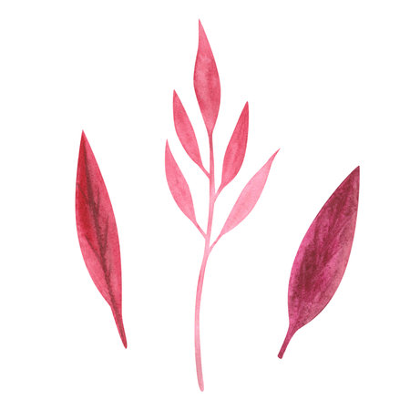 Autumn Abstract red leaves watercolor isolated on white. Thanksgiving and halloween illustration. Art for designの写真素材