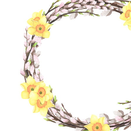 Spring willow twigs wreath watercolor, daffodil isolated on white. Hand drawing frame Easter illustration for designの写真素材