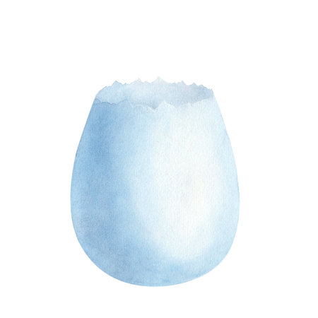 Watercolor Easter flowers pot. Ceramic egg shaped pot blue isolated on white. Illustration for...
