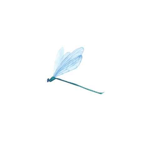 Green Dragonfly with detailed wings isolated. Watercolor hand drawn realistic flying insect llustration for designの写真素材