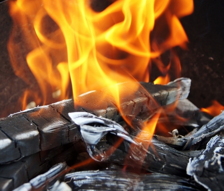 Fire - seemingly living element that burns, heats, highlights, but at the same time, to hurt and...