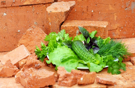 Cucumber lie on dill,parsley,Basil ,among a pile of debris red brick.の写真素材