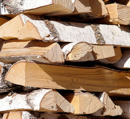 Birch firewood stacked in rows.の写真素材