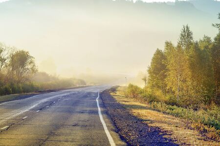 Foggy morning on the road in the autumn forest.の写真素材