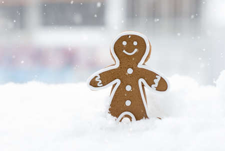 Gingerbread cookies on a snow. Funny christmas card. Winter timeの写真素材