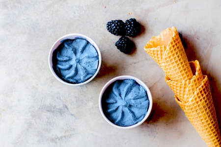 Raw vegan berry blackberry ice cream. Summer delicious dessert - Waffle cone ice cream. Copy space,...