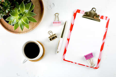 Flat lay fashion feminine home office workspace with succulent, cup of coffee, blank paper...