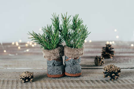 Christmas boots with fir trees branches and garland lights on background