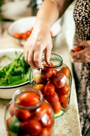 Woman pickled preserving tomatoes herbs for canning pickling.の写真素材