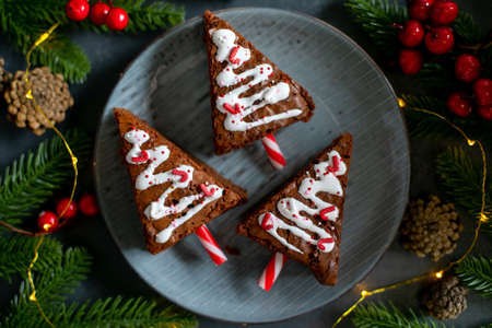 Christmas sweet tree made from chocolate brownie. Christmas fun food. Cute idea for kids for christmas dessert. Top view, crop square imageの写真素材