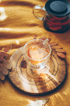Woman drinking tea and a reading book. Cozy autumn at home.の写真素材
