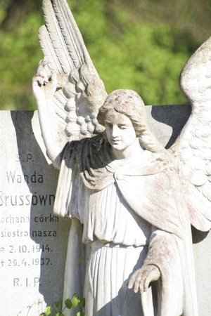 Cementery in Polandの写真素材