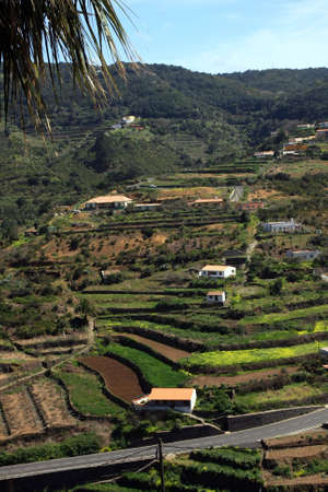 La Gomera, Canary Island, Spainの写真素材