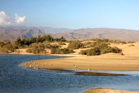 The small, but amazing desert  Dunas de Maspalomas  in Gran Canaria island,Spain with some water, where the birds can rests, and the mountains on backgroundの写真素材