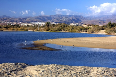 The small, but amazing desert  Dunas de Maspalomas  in Gran Canaria island,Spain with some water, where the birds can rests, and the mountains on backgroundの写真素材