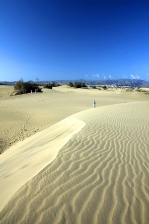 The small but wild desert  Dunas de Maspalomas  in Gran Canaryの写真素材