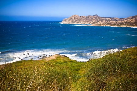 Crystal clean sea along beuty green coastline in amazing island Corsicaの写真素材