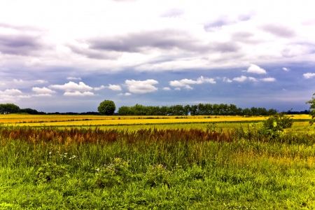 Beautiful summer landscape of green fields with blue skyの写真素材