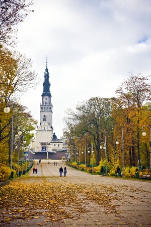 Beautiful autumnal park with colorful maple leaves の写真素材