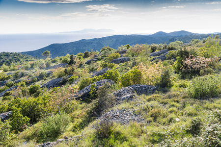 Beautiful view form Hvar island, Croatiaの写真素材