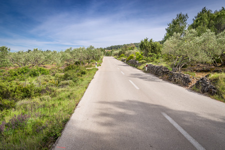 Empty road on Hvar island, Croatiaの写真素材