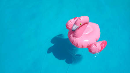 Inflatable  childrens toy pink flamingo swims in clear blue turquoise pool water. There is a place...