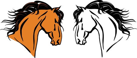 illustration of a beautiful horse headのイラスト素材