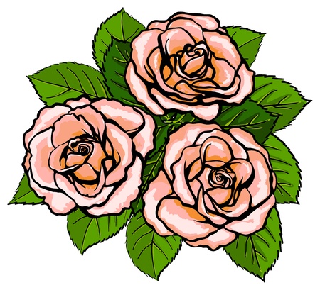 Three pink roses with leaves in a bouquetのイラスト素材