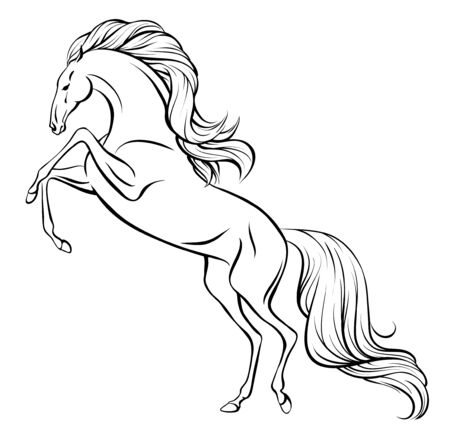 Outline drawing of a rearing horse with long mane and tail.のイラスト素材