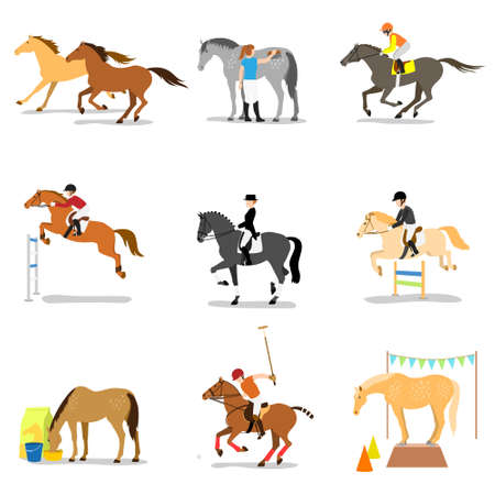 Equestrian sports and activitiesのイラスト素材