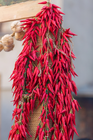 Bundle of chilli pepper and garlic hanging from the poleの写真素材
