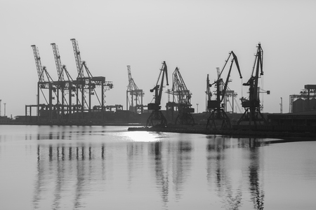 Sea port with cranes and docks early in the morningの写真素材