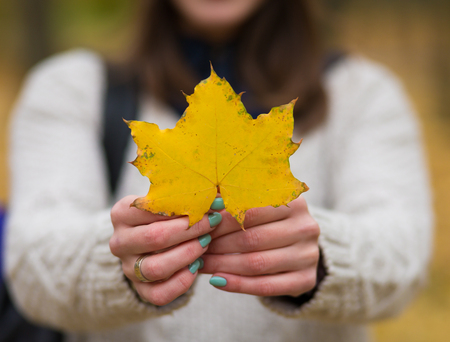 Woman holding an autumn leaf in the parkの写真素材