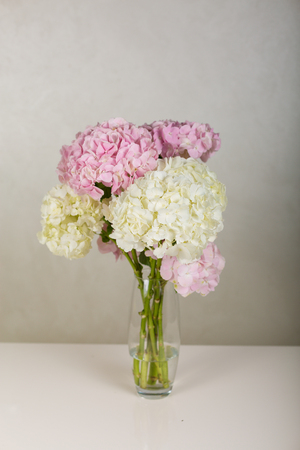 Beautiful hydrangea in a vaseの写真素材